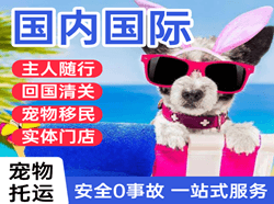 建三江湿地机场邮寄国际宠物托运 【国